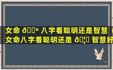 女命 🌺 八字看聪明还是智慧（女命八字看聪明还是 🦍 智慧好）